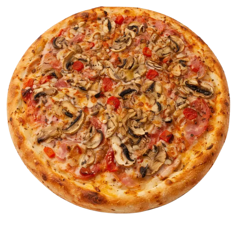 NOVITA