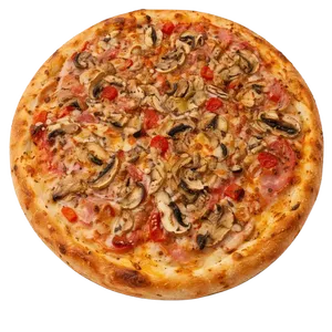NOVITA